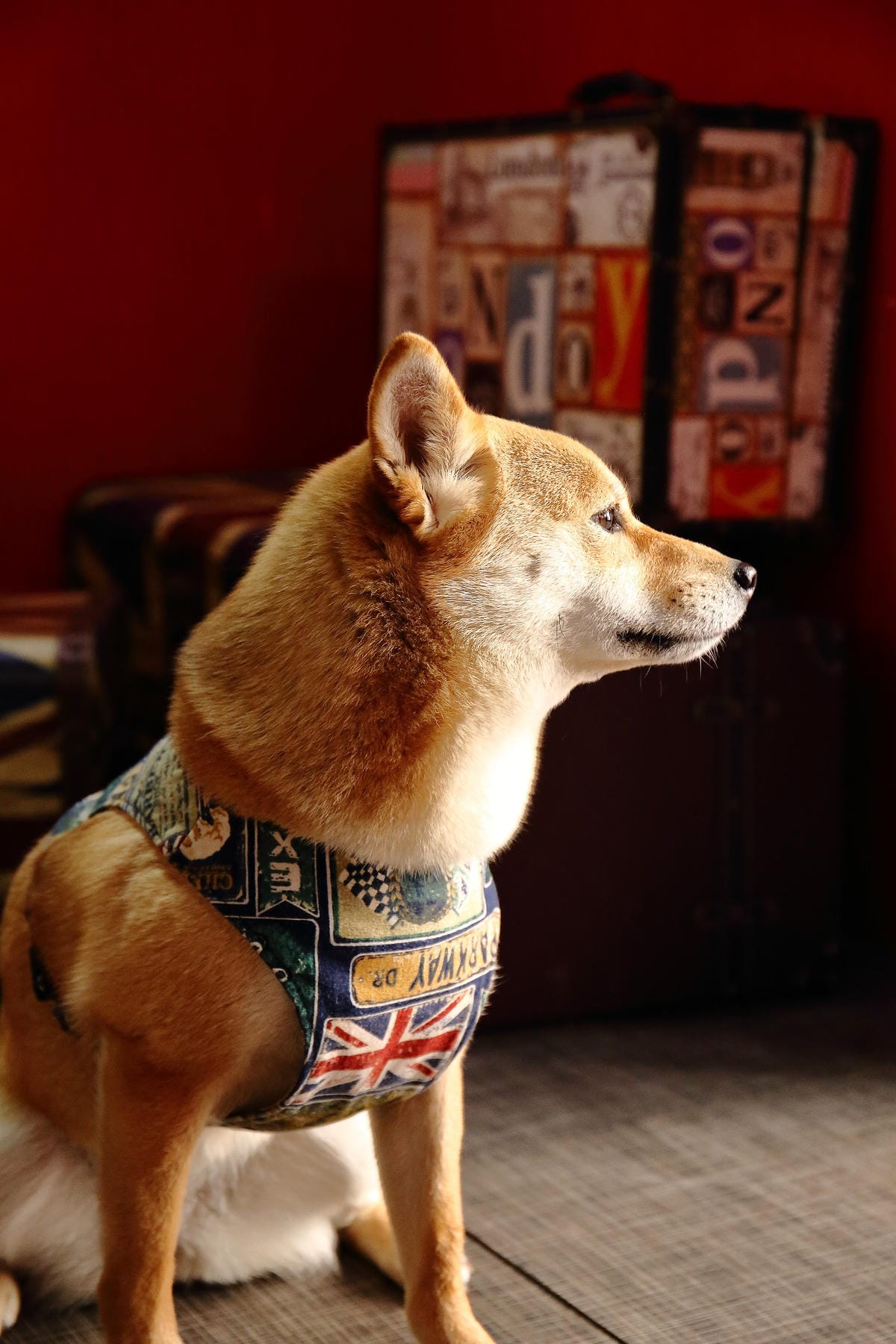 【食。新竹】紳士帽英式主題餐廳〜英國風親子寵物友善餐廳，英倫風X鄉村風X摩登帽IG拍照，品嘗著異國料理的滋味(已歇業)