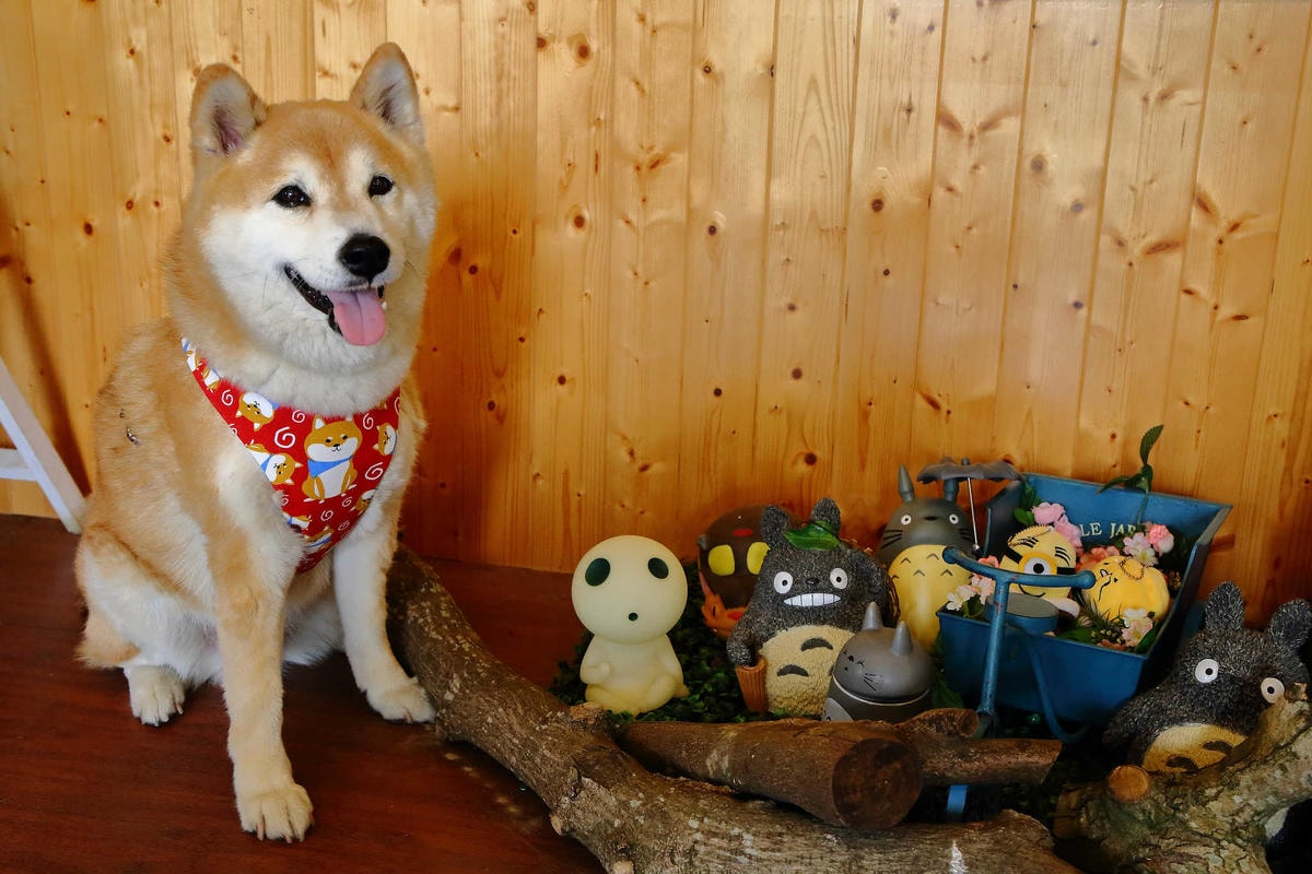 【遊。新竹】松湖休閒親子莊園〜新竹親子景點。沙坑/戲水池/溜滑梯/草皮/釣魚,讓爸媽、小孩都能放鬆的休閒農場