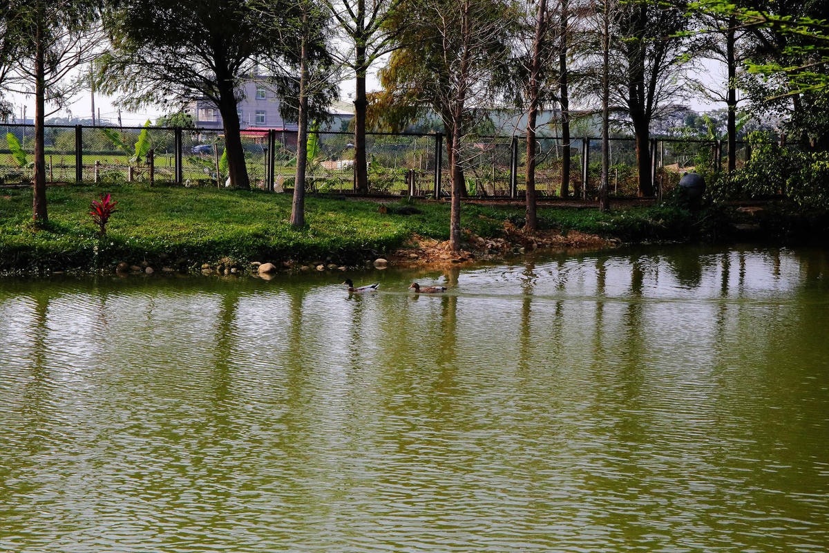 【遊。新竹】松湖休閒親子莊園〜新竹親子景點。沙坑/戲水池/溜滑梯/草皮/釣魚,讓爸媽、小孩都能放鬆的休閒農場