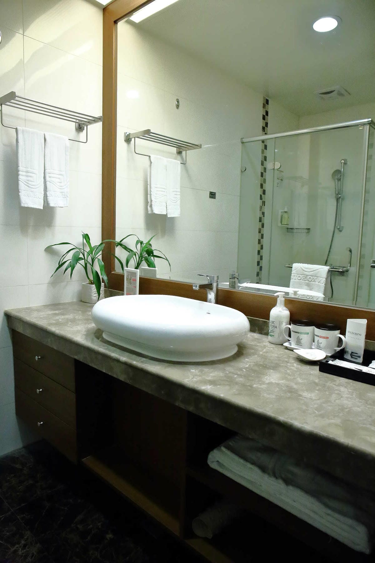 【宿。嘉義】冠閣商務大飯店〜出發！帶毛小孩來去住一晚！寵物友善飯店，毛小孩友善房，一泊一食，出遊去囉