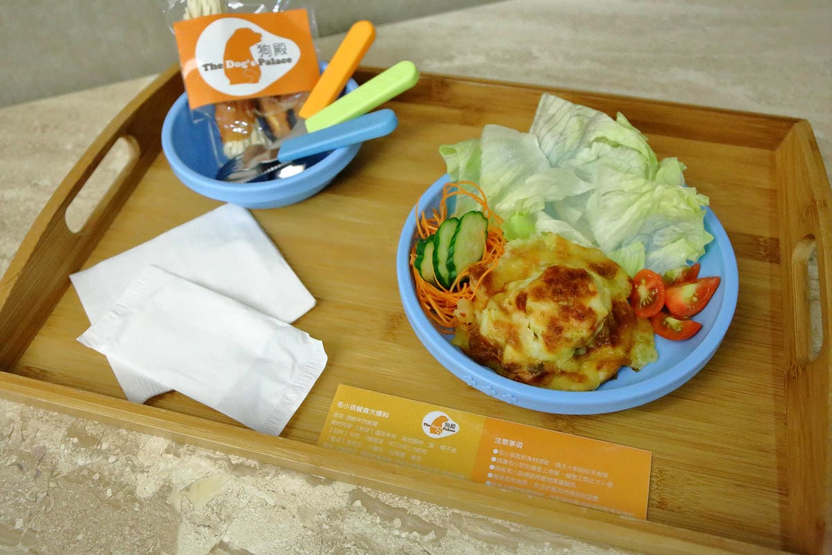 【宿。嘉義】冠閣商務大飯店〜出發！帶毛小孩來去住一晚！寵物友善飯店，毛小孩友善房，一泊一食，出遊去囉