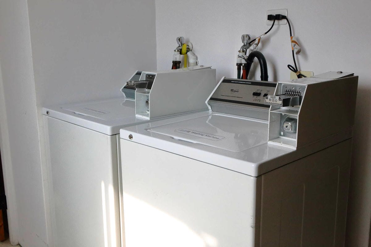 【宿。嘉義】冠閣商務大飯店〜出發！帶毛小孩來去住一晚！寵物友善飯店，毛小孩友善房，一泊一食，出遊去囉