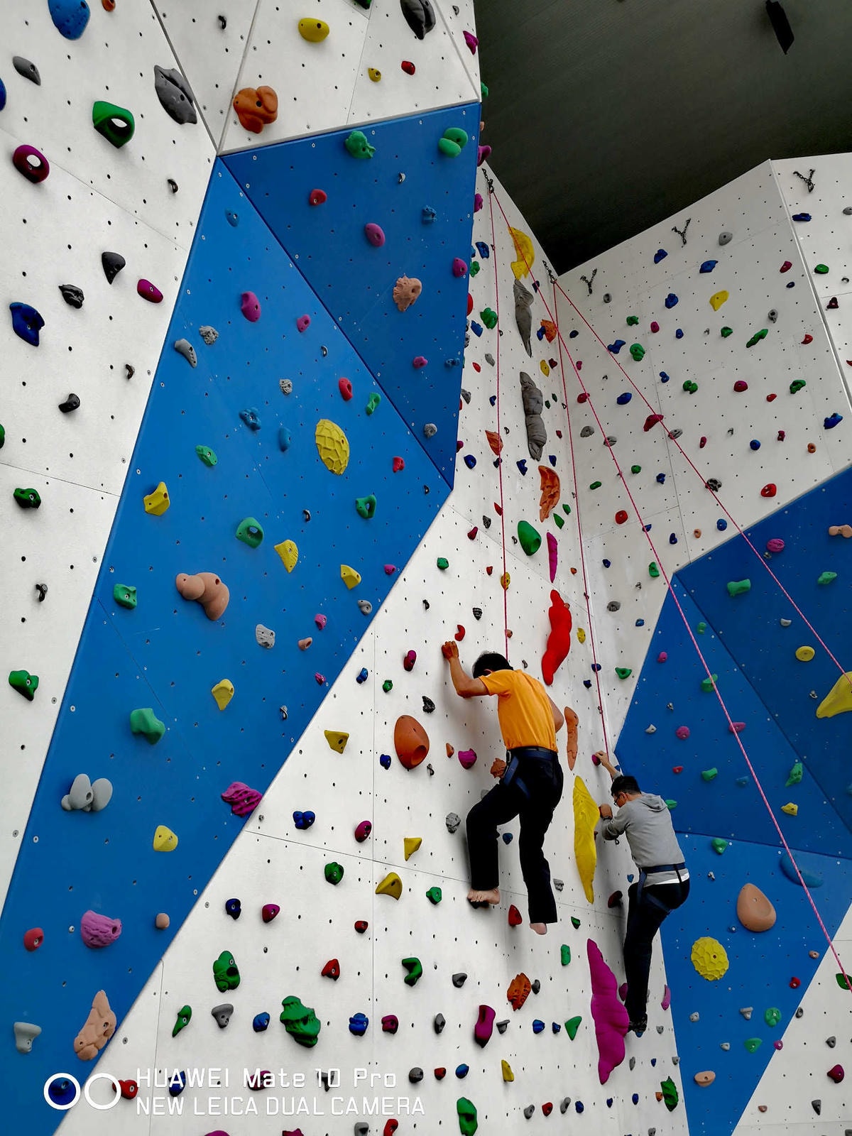 【遊。桃園】桃園國民運動中心〜新開幕!最多元與完善的運動休閒空間,大家一起來運動吧!