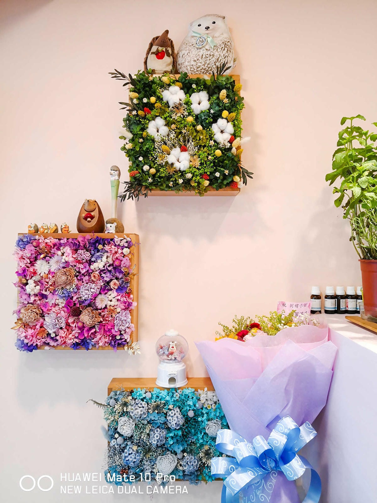 【食。台北】刺蝟小妞•創意調飲 特製輕食〜療癒系寵物友善餐廳。寵物迷必收藏,刺蝟萌樣,可愛到融化你的心!(已歇業)