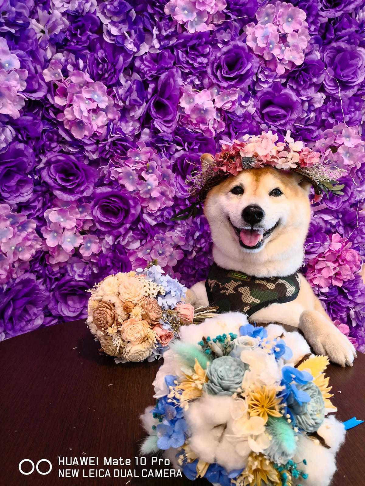 【食。台北】刺蝟小妞•創意調飲 特製輕食〜療癒系寵物友善餐廳。寵物迷必收藏,刺蝟萌樣,可愛到融化你的心!(已歇業)