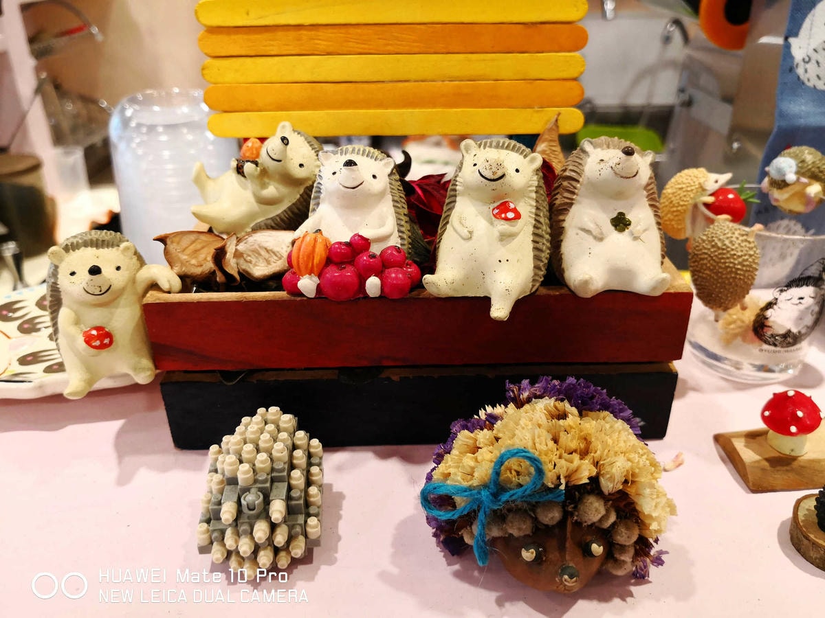 【食。台北】刺蝟小妞•創意調飲 特製輕食〜療癒系寵物友善餐廳。寵物迷必收藏,刺蝟萌樣,可愛到融化你的心!(已歇業)