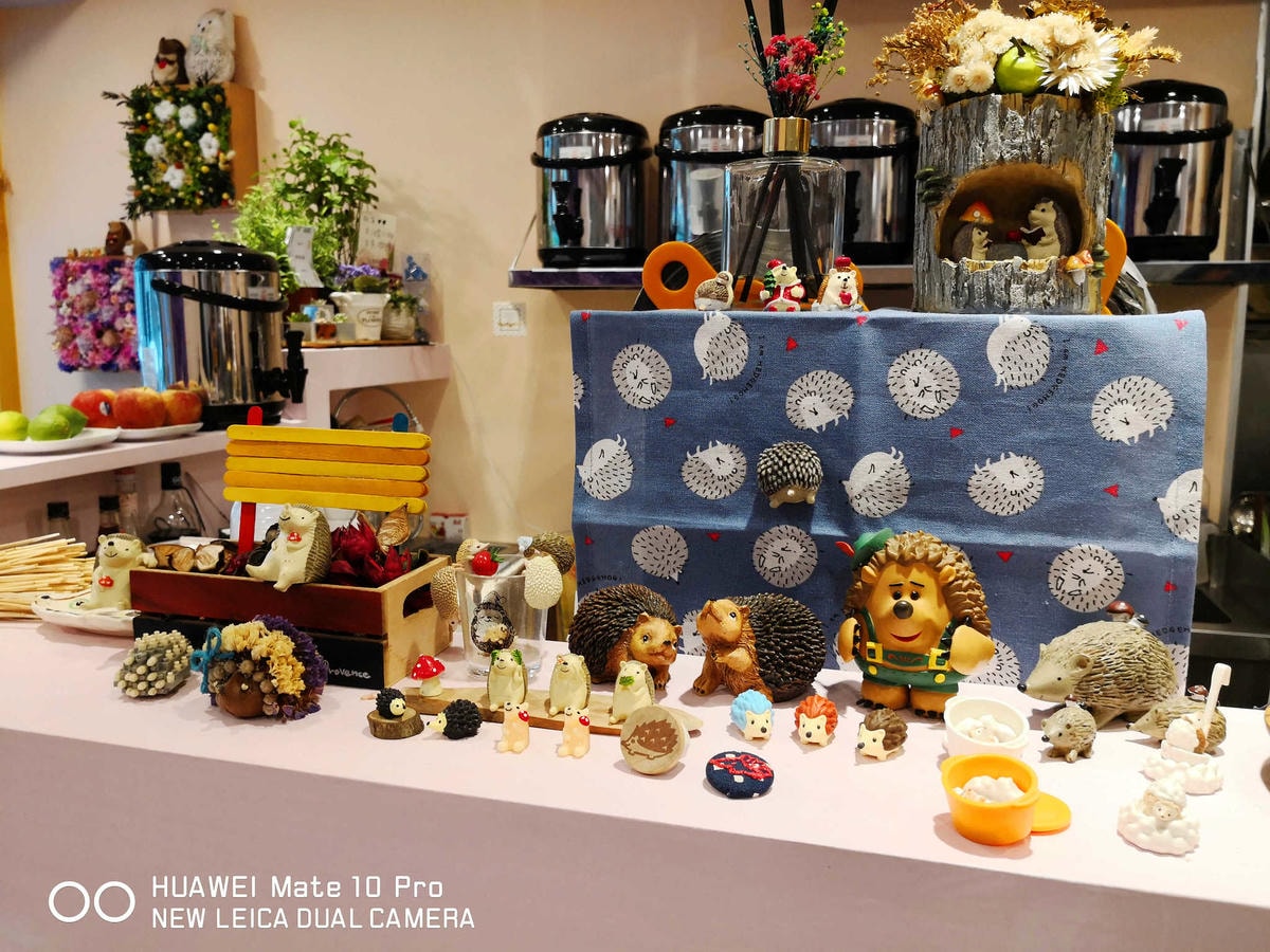 【食。台北】刺蝟小妞•創意調飲 特製輕食〜療癒系寵物友善餐廳。寵物迷必收藏,刺蝟萌樣,可愛到融化你的心!(已歇業)