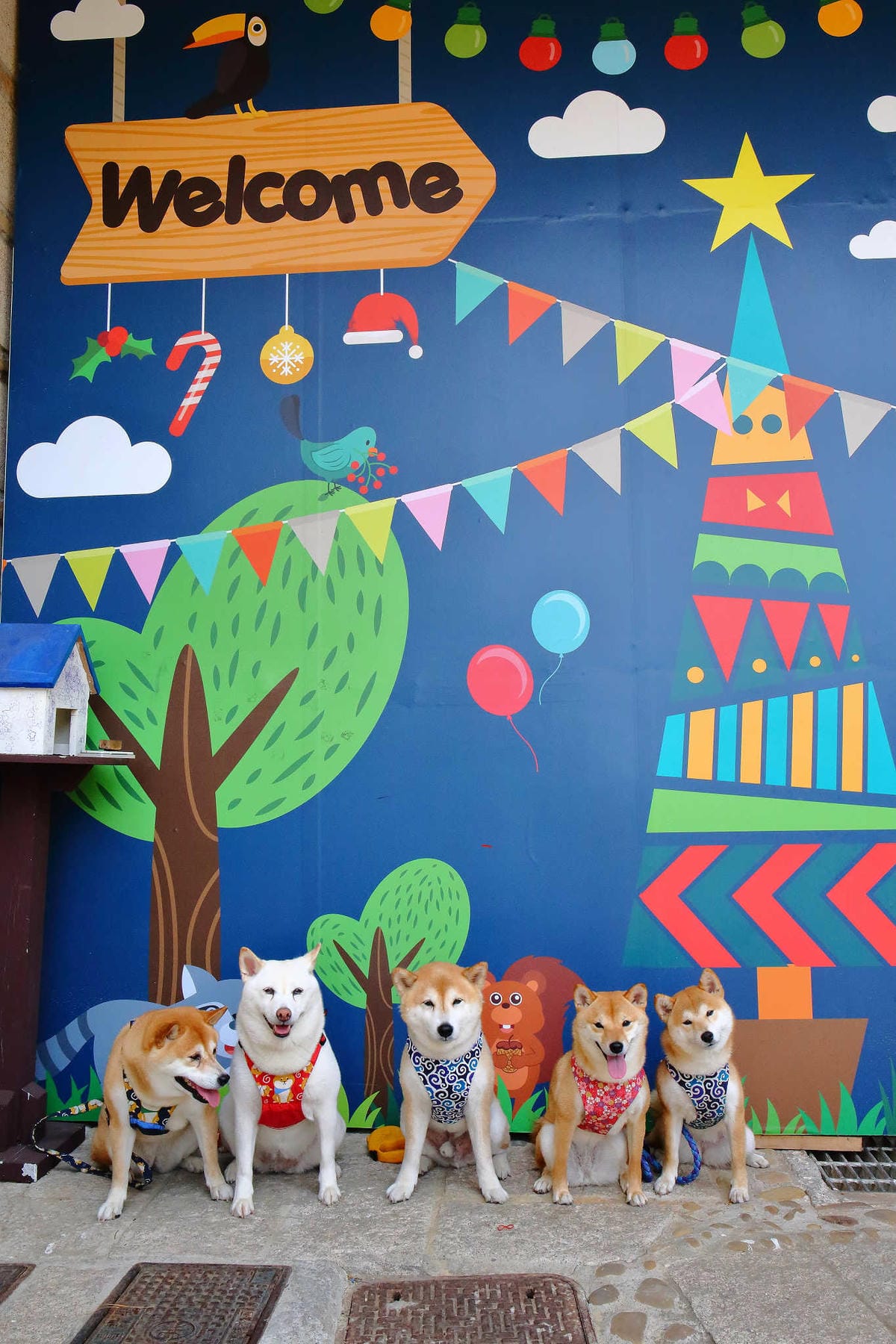 【遊。桃園】麗多花鳥寵物世界Lidoworld〜週末何處去？來趟森林浴吧，台灣唯一犬貓互動園區，溜小孩(毛小孩)的好地方！無料免費入場