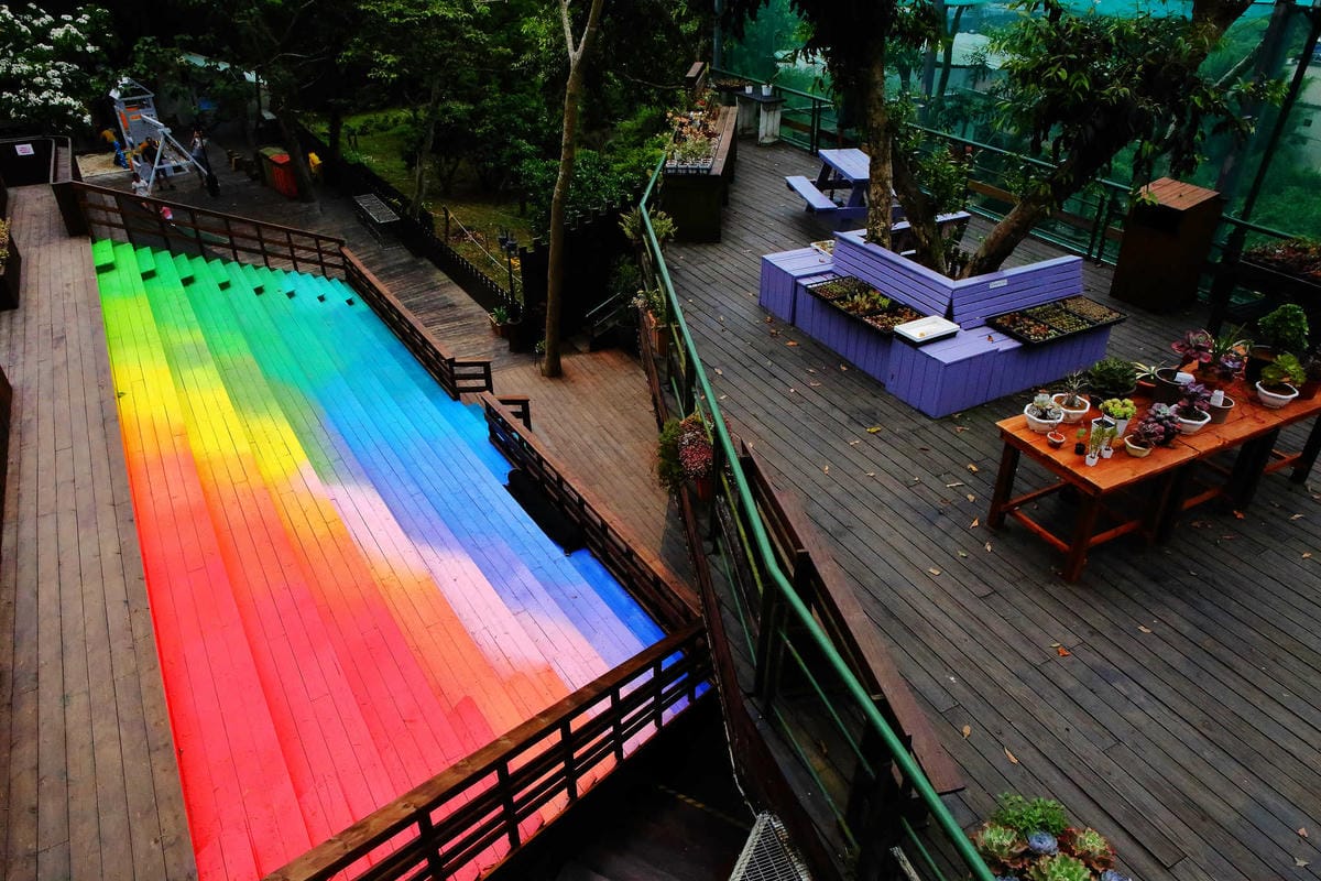 【遊。桃園】麗多花鳥寵物世界Lidoworld〜週末何處去？來趟森林浴吧，台灣唯一犬貓互動園區，溜小孩(毛小孩)的好地方！無料免費入場