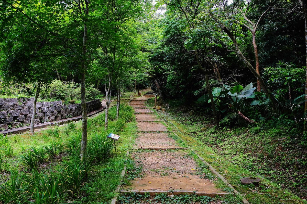 【遊。桃園】麗多花鳥寵物世界Lidoworld〜週末何處去？來趟森林浴吧，台灣唯一犬貓互動園區，溜小孩(毛小孩)的好地方！無料免費入場