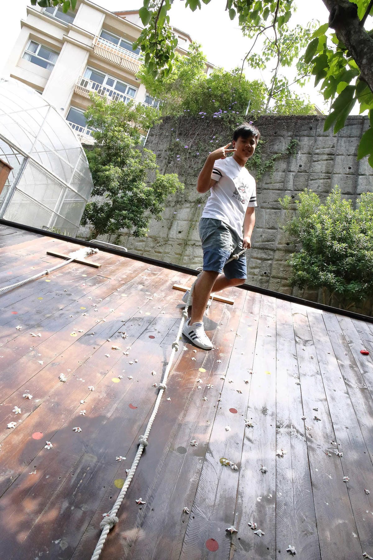 【遊。桃園】麗多花鳥寵物世界Lidoworld〜週末何處去？來趟森林浴吧，台灣唯一犬貓互動園區，溜小孩(毛小孩)的好地方！無料免費入場