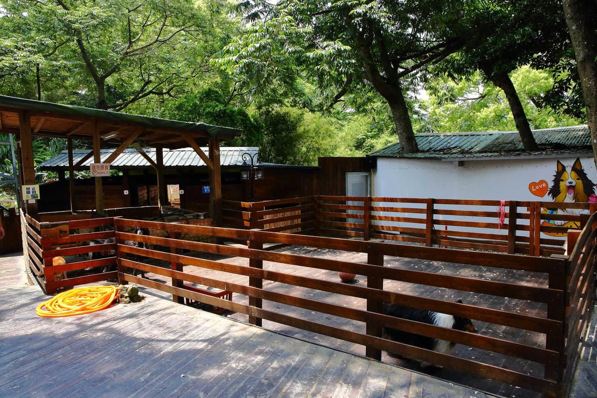 【遊。桃園】麗多花鳥寵物世界Lidoworld〜週末何處去？來趟森林浴吧，台灣唯一犬貓互動園區，溜小孩(毛小孩)的好地方！無料免費入場