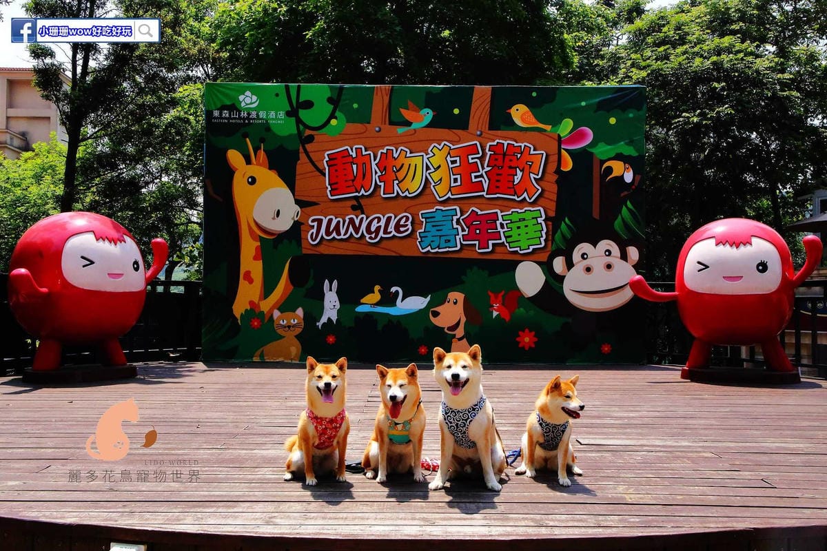 【遊。桃園】麗多花鳥寵物世界Lidoworld〜週末何處去？來趟森林浴吧，台灣唯一犬貓互動園區，溜小孩(毛小孩)的好地方！無料免費入場