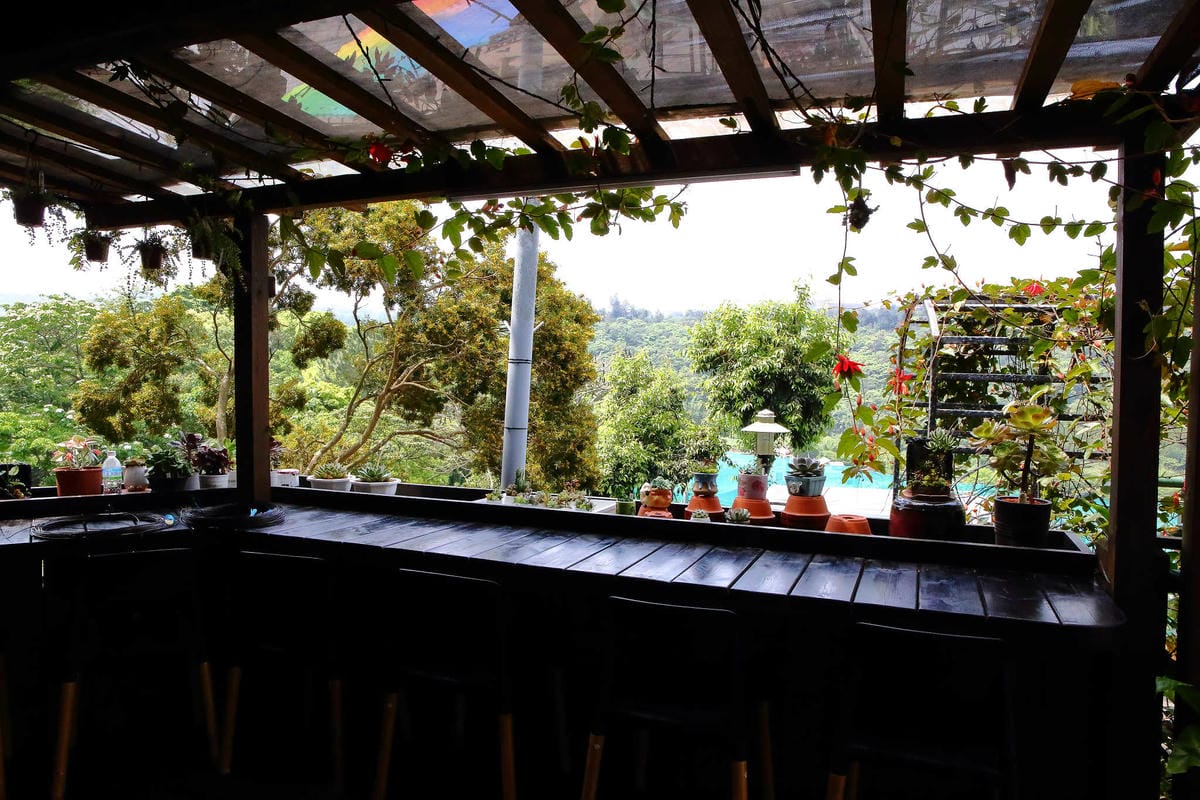 【遊。桃園】麗多花鳥寵物世界Lidoworld〜週末何處去？來趟森林浴吧，台灣唯一犬貓互動園區，溜小孩(毛小孩)的好地方！無料免費入場