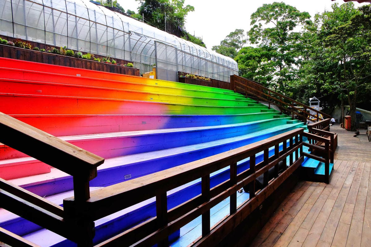 【遊。桃園】麗多花鳥寵物世界Lidoworld〜週末何處去？來趟森林浴吧，台灣唯一犬貓互動園區，溜小孩(毛小孩)的好地方！無料免費入場