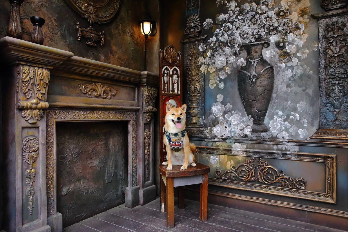 【遊。苗栗】愛麗絲的天空攝影基地〜結婚吧！專屬婚紗攝影景點，完成夢想中的婚禮！(限定開放)