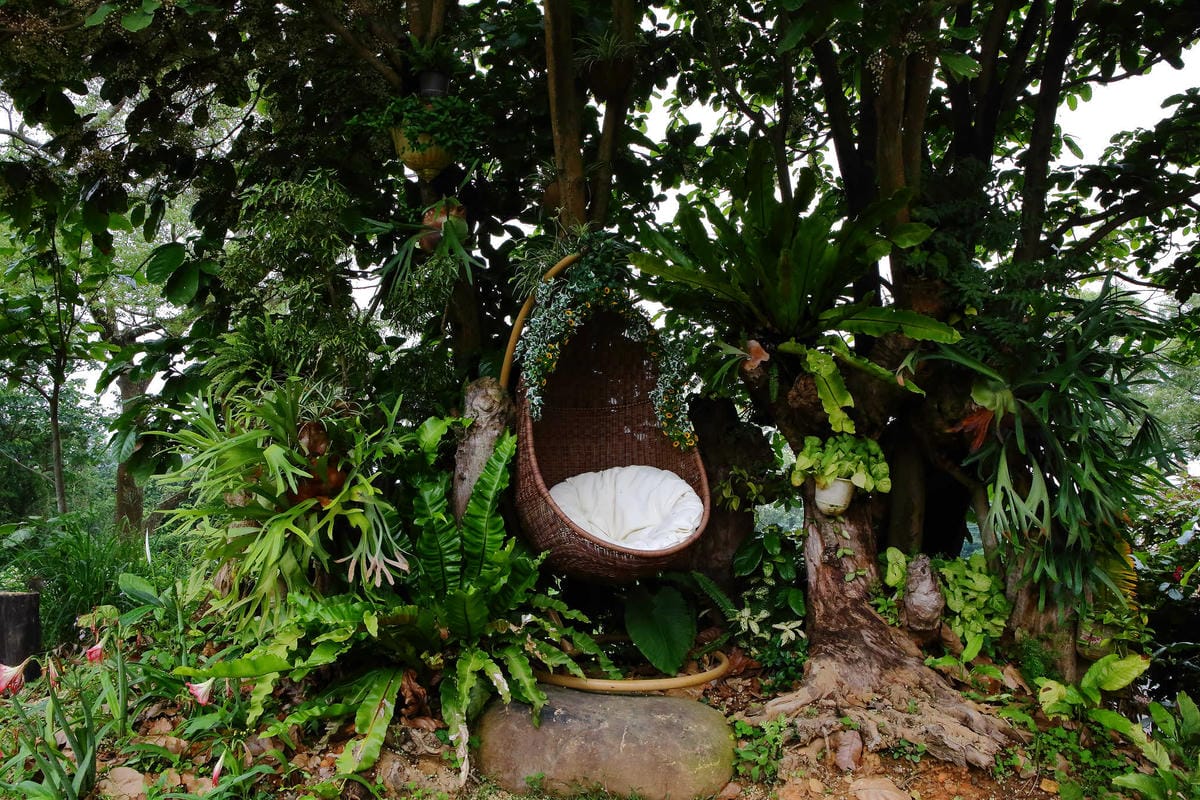 【遊。苗栗】愛麗絲的天空攝影基地〜結婚吧！專屬婚紗攝影景點，完成夢想中的婚禮！(限定開放)