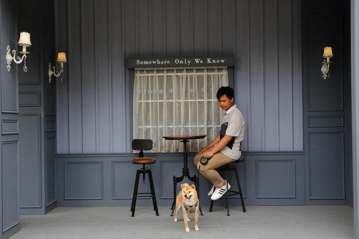 【遊。苗栗】愛麗絲的天空攝影基地〜結婚吧！專屬婚紗攝影景點，完成夢想中的婚禮！(限定開放)