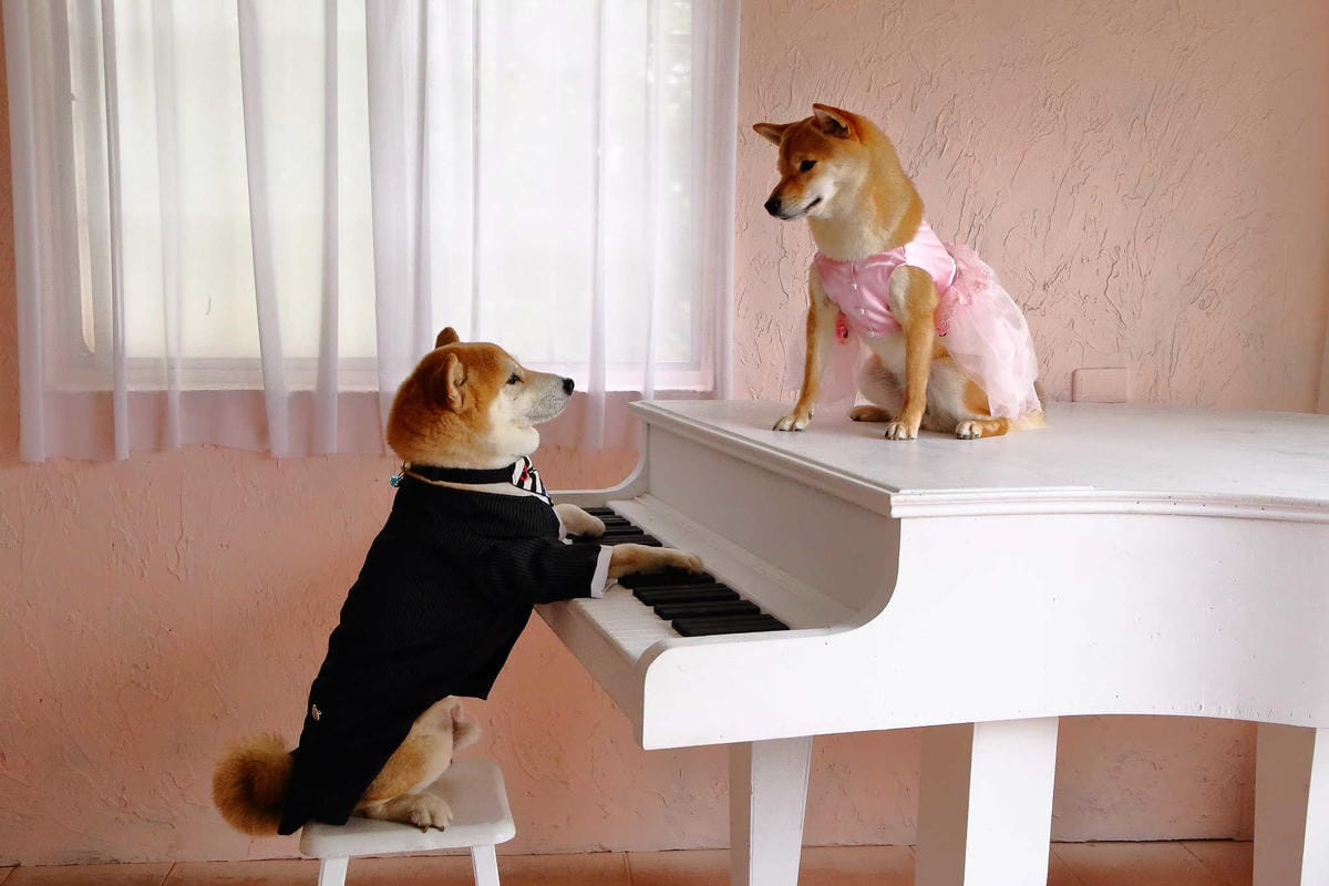 【遊。苗栗】愛麗絲的天空攝影基地〜結婚吧！專屬婚紗攝影景點，完成夢想中的婚禮！(限定開放)