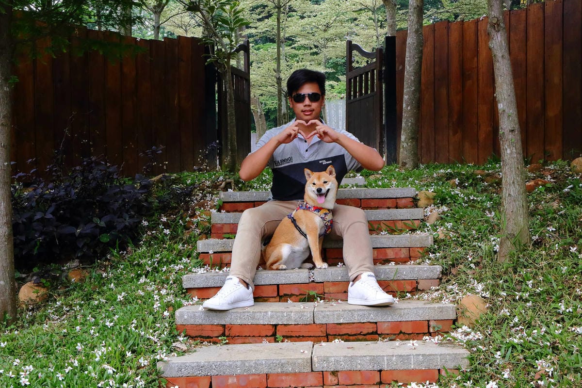 【遊。苗栗】愛麗絲的天空攝影基地〜結婚吧！專屬婚紗攝影景點，完成夢想中的婚禮！(限定開放)