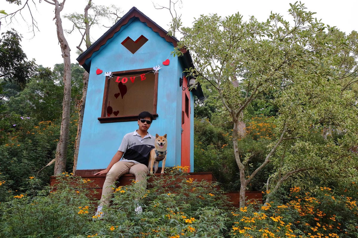 【遊。苗栗】愛麗絲的天空攝影基地〜結婚吧！專屬婚紗攝影景點，完成夢想中的婚禮！(限定開放)