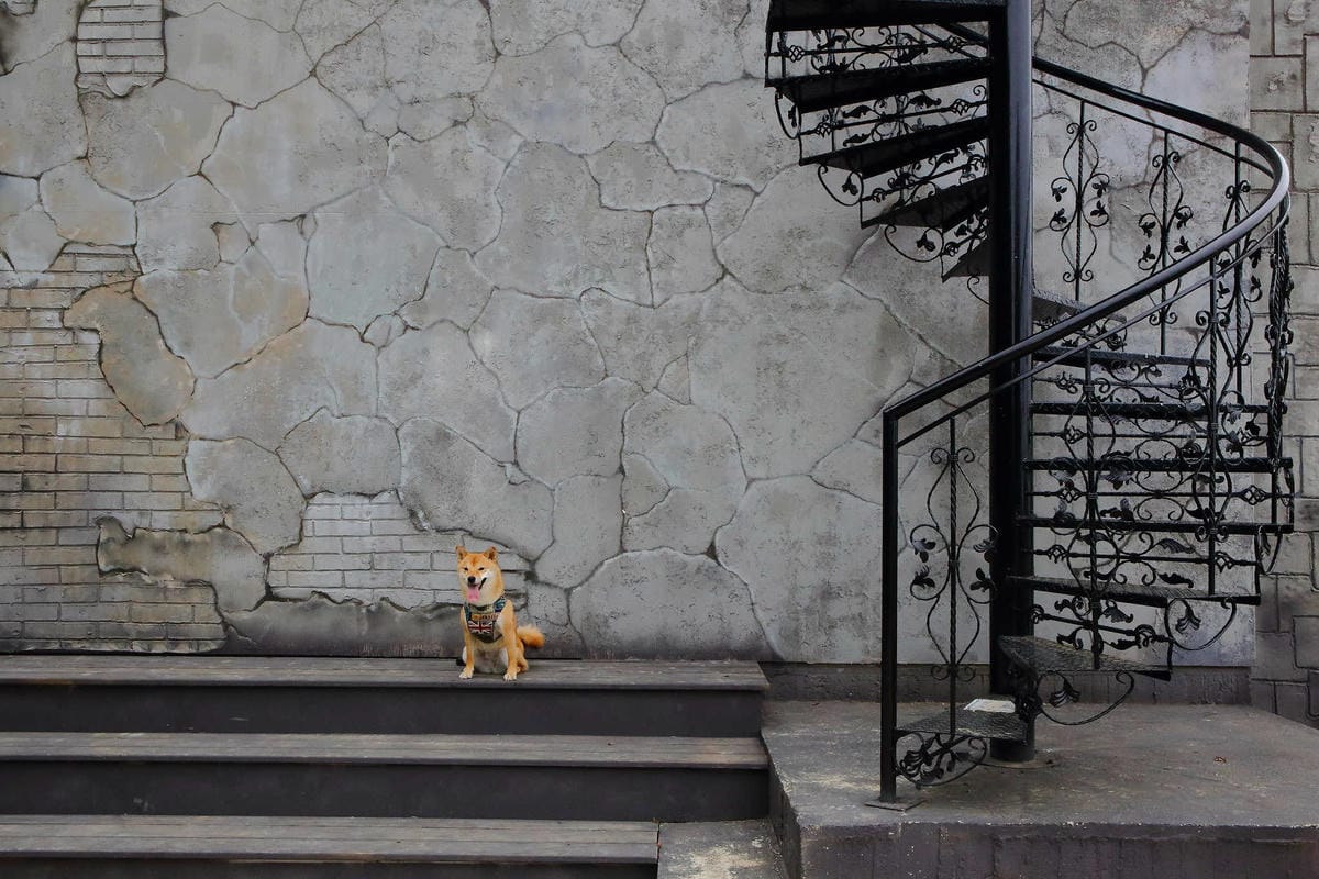 【遊。苗栗】愛麗絲的天空攝影基地〜結婚吧！專屬婚紗攝影景點，完成夢想中的婚禮！(限定開放)