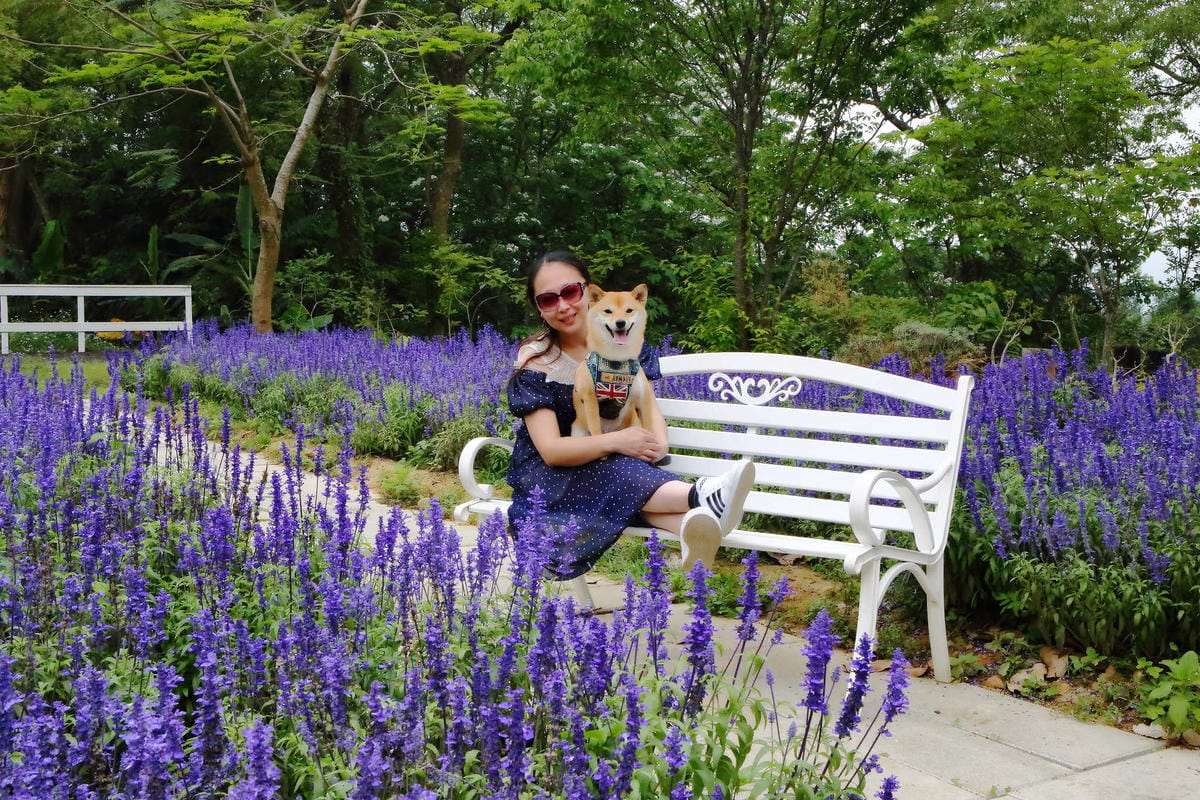 【遊。苗栗】愛麗絲的天空攝影基地〜結婚吧！專屬婚紗攝影景點，完成夢想中的婚禮！(限定開放)