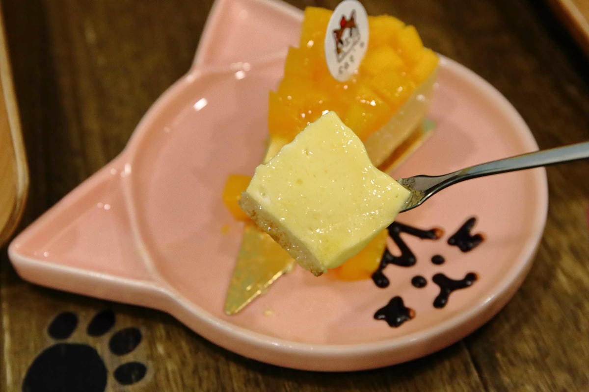 【食。永和】果子．幸福料理 Cat’s Kitchen〜萌翻天療癒獨家料理！柴犬套餐+各種可愛的餐點，大呼捨不得吃！