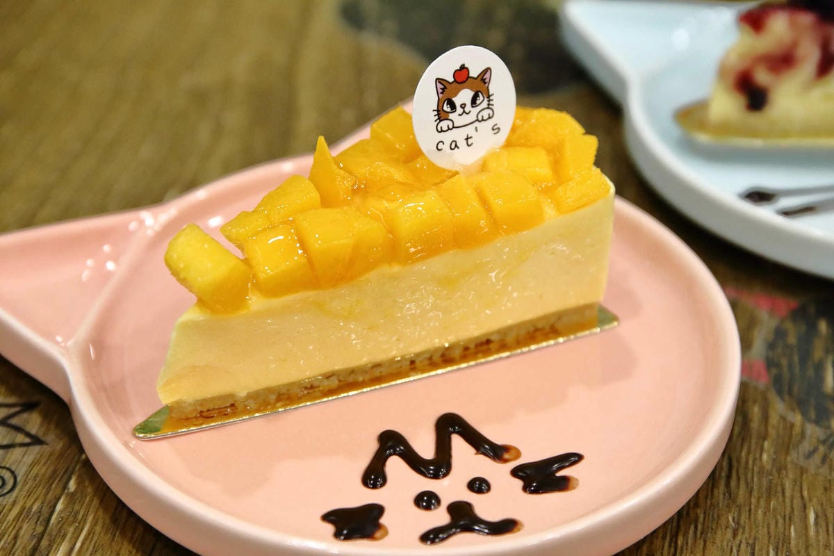 【食。永和】果子．幸福料理 Cat’s Kitchen〜萌翻天療癒獨家料理！柴犬套餐+各種可愛的餐點，大呼捨不得吃！