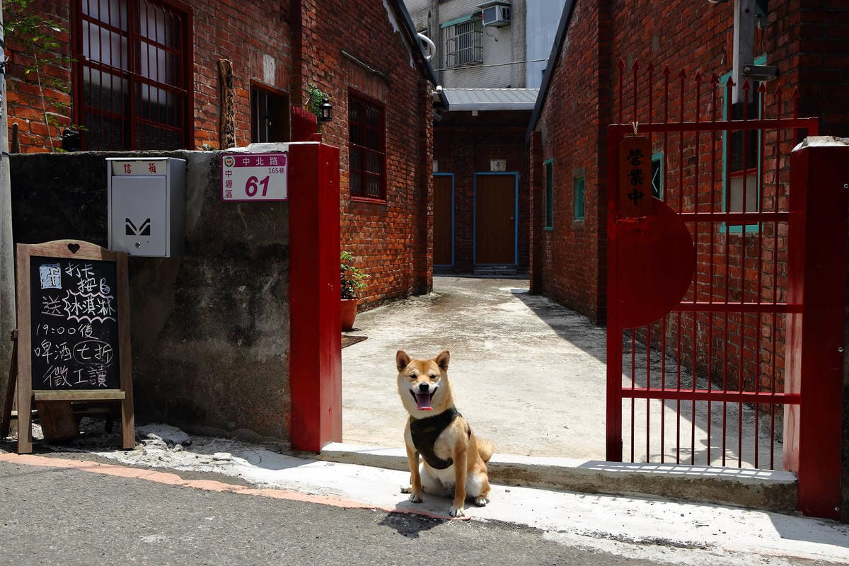 【食。中壢】晴天咖啡sunny cafe〜IG打卡新亮點！隱身巷弄老宅打造咖啡館，一次擁有彩繪&老屋風，文青最愛的懷舊愜意！(已歇業)