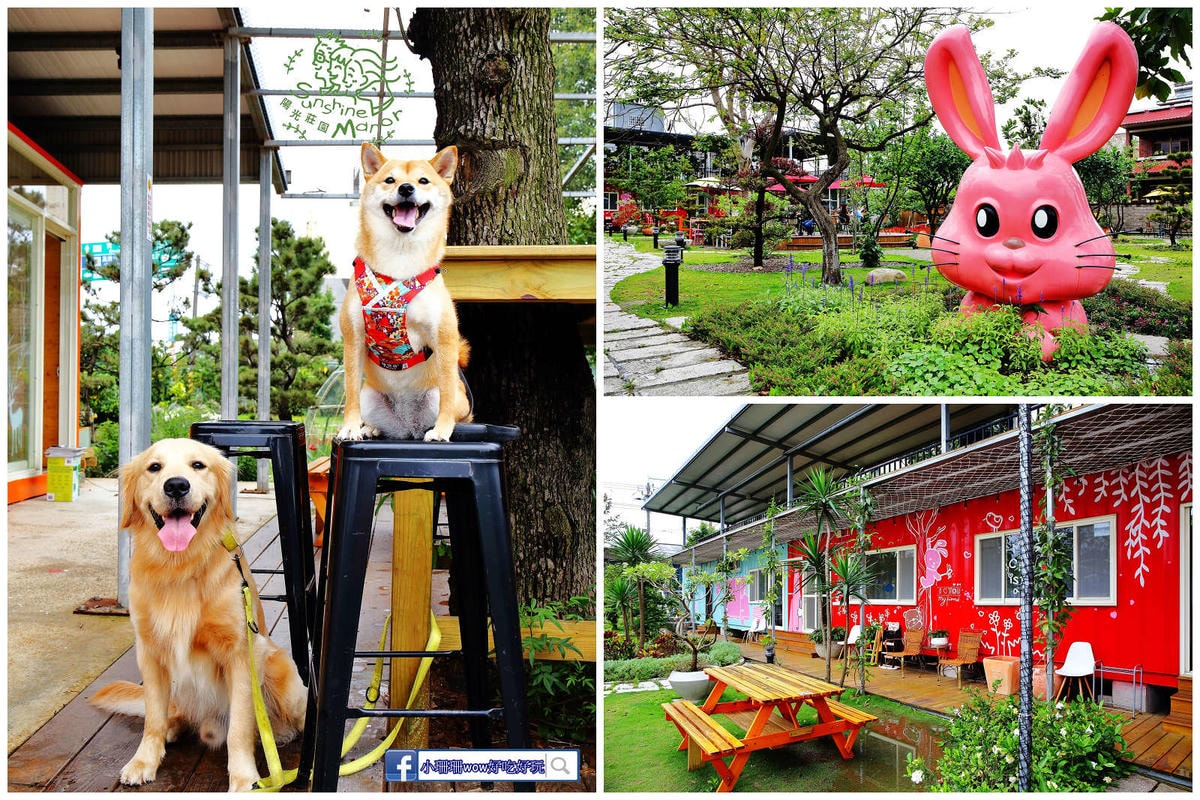 【桃園寵物友善餐廳、旅遊景點懶人包】帶毛小孩吃喝玩樂趴趴GO