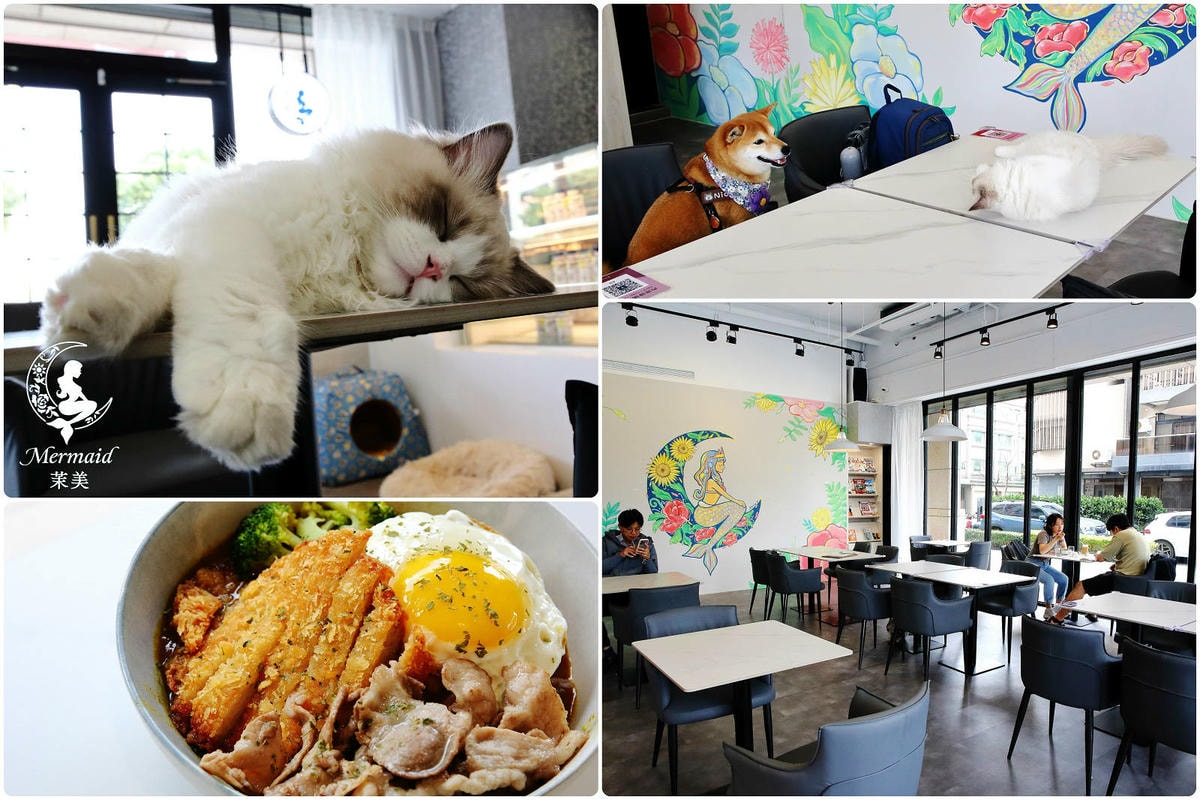 【桃園寵物友善餐廳、旅遊景點懶人包】帶毛小孩吃喝玩樂趴趴GO