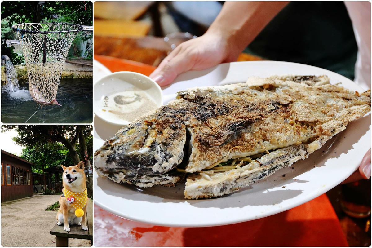 【桃園寵物友善餐廳、旅遊景點懶人包】帶毛小孩吃喝玩樂趴趴GO