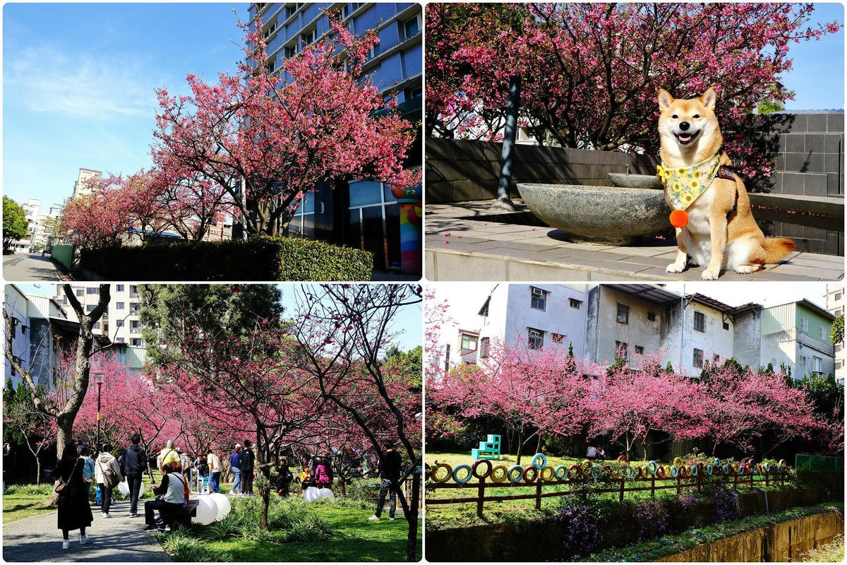 【桃園寵物友善餐廳、旅遊景點懶人包】帶毛小孩吃喝玩樂趴趴GO