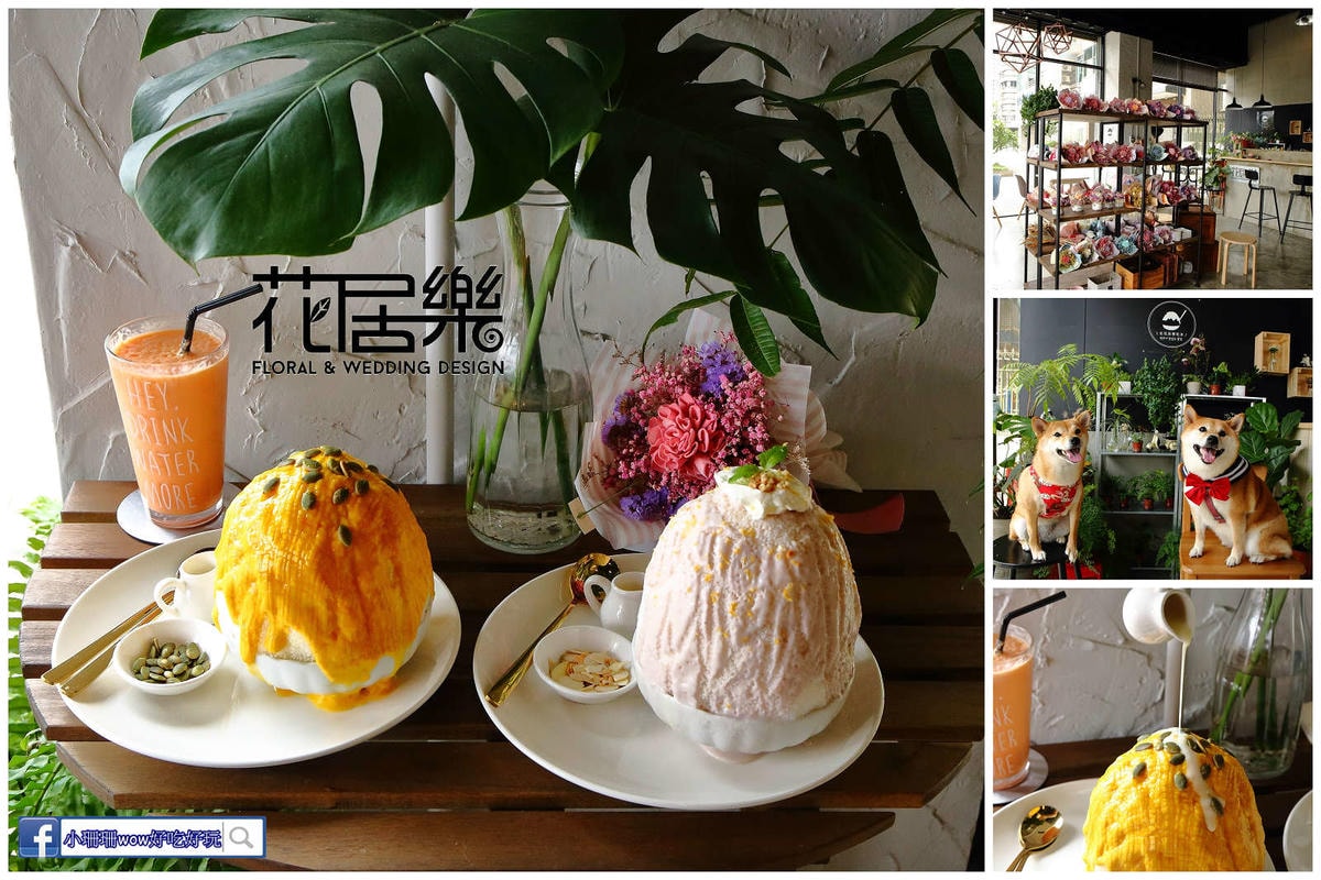 【桃園寵物友善餐廳、旅遊景點懶人包】帶毛小孩吃喝玩樂趴趴GO