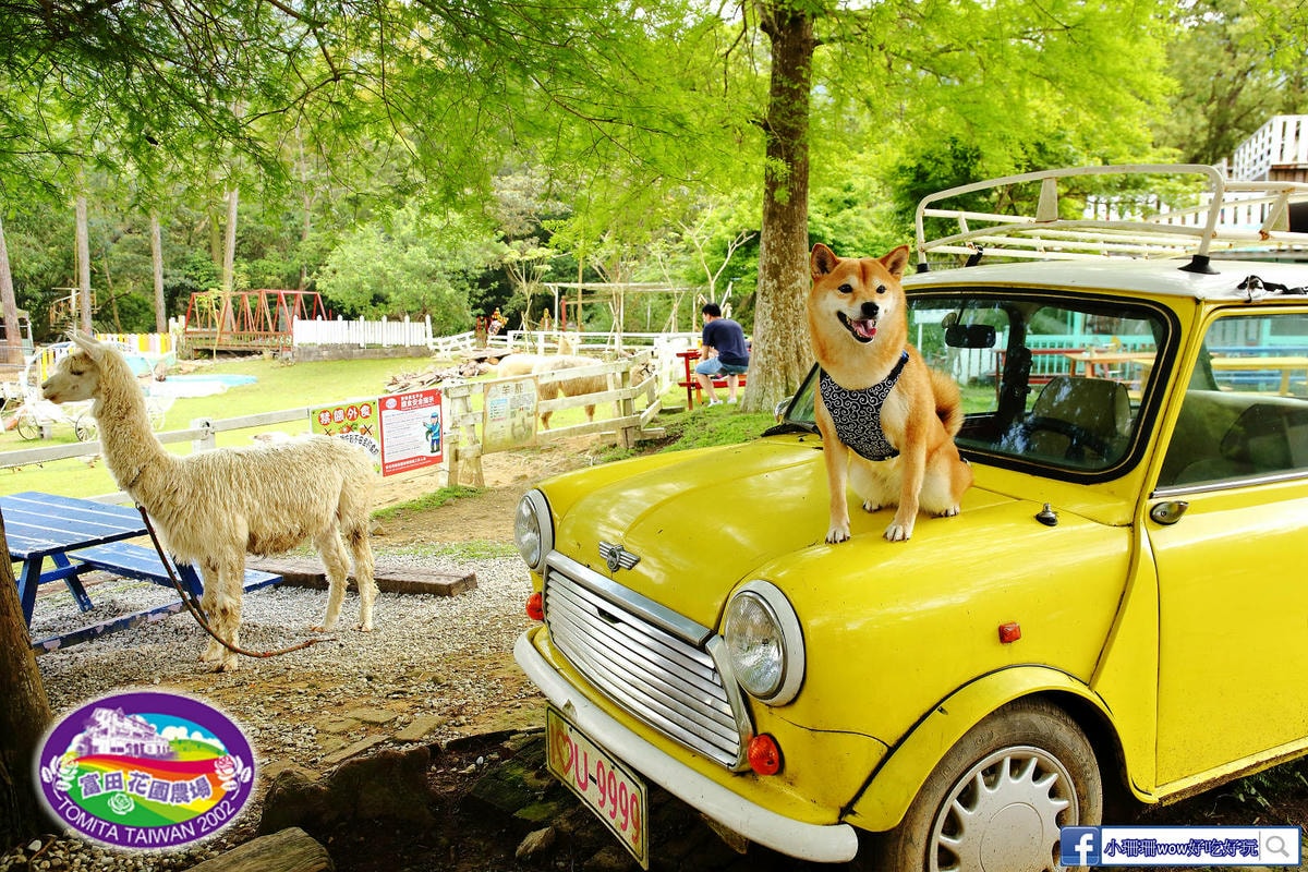 【桃園寵物友善餐廳、旅遊景點懶人包】帶毛小孩吃喝玩樂趴趴GO