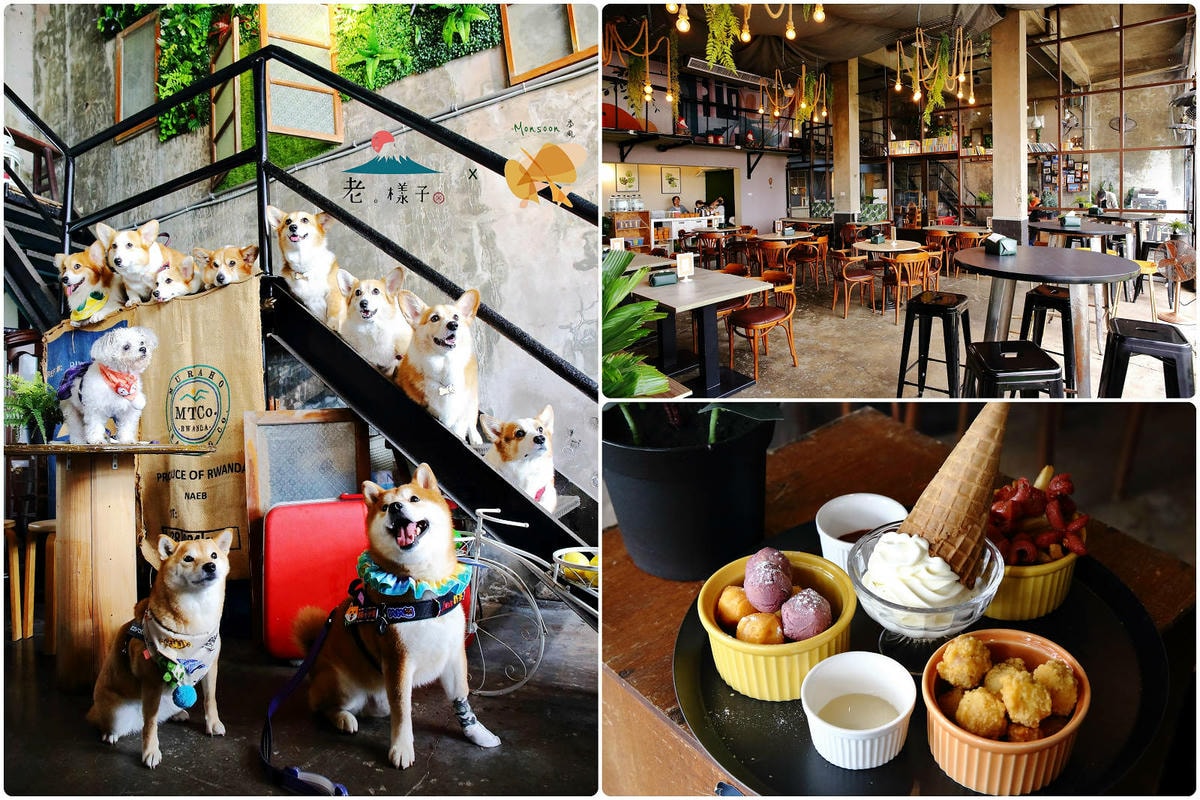 【桃園寵物友善餐廳、旅遊景點懶人包】帶毛小孩吃喝玩樂趴趴GO