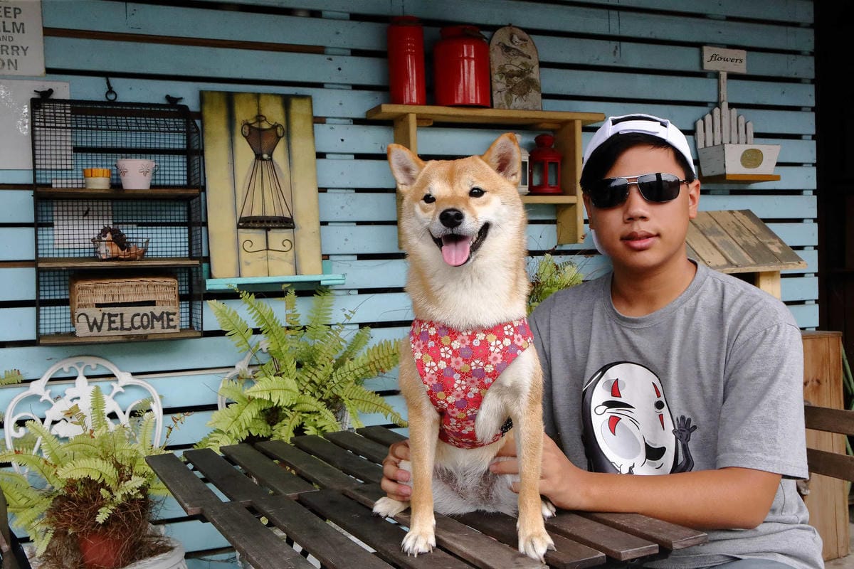 【食。大園】小弘曆 ∞ Hang Le〜桃園庭園餐廳推薦。可愛鄉村風餐廳，餐點超水準！平價又好吃，約會溜小孩都(已歇業)