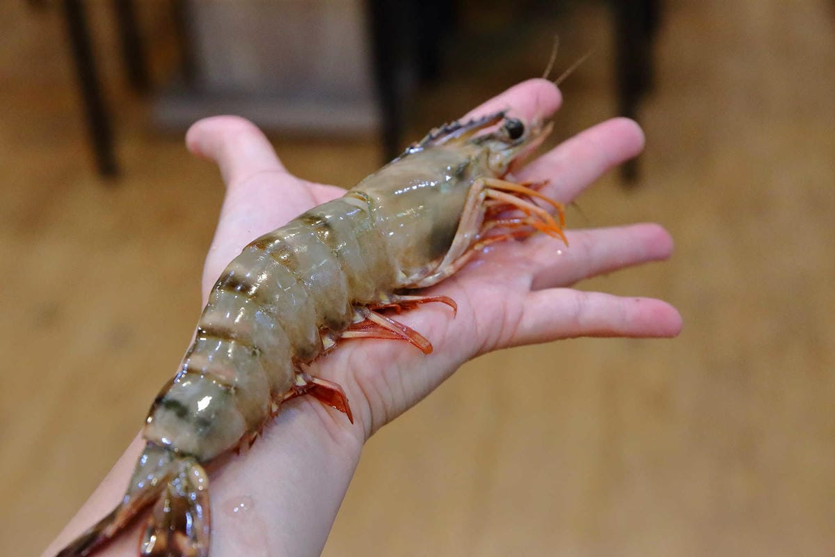 【食。中和】鼎川霖鍋物-景安店〜中和火鍋。單人獨享霸氣「波士頓龍蝦鍋」，愛吃海鮮的千萬不要錯過呦！(已歇業)