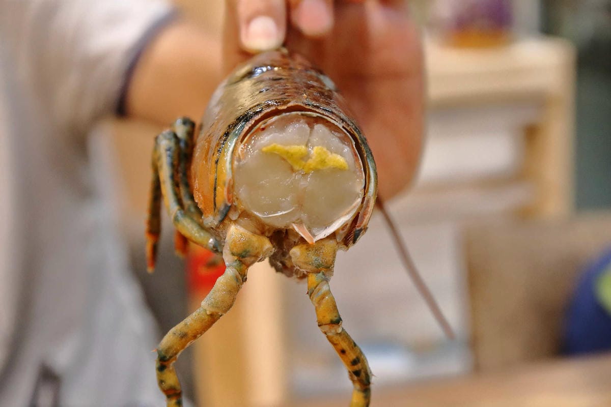 【食。中和】鼎川霖鍋物-景安店〜中和火鍋。單人獨享霸氣「波士頓龍蝦鍋」，愛吃海鮮的千萬不要錯過呦！(已歇業)
