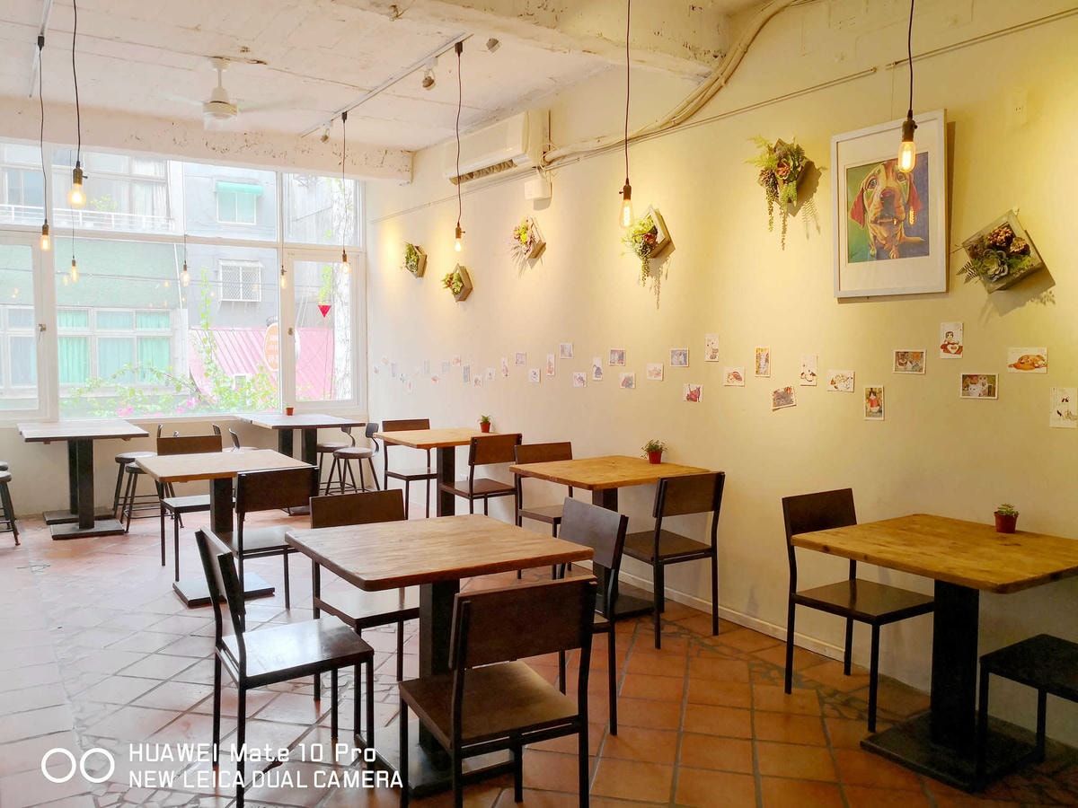 【食。台北】虎噗食多 • HOPE STORE〜師大路寵物友善餐廳。巷弄裡老房子美式餐廳,現做美味平價享受!(已歇業)