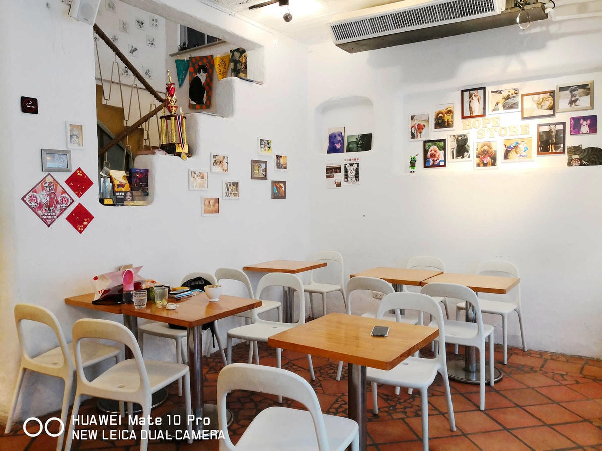 【食。台北】虎噗食多 • HOPE STORE〜師大路寵物友善餐廳。巷弄裡老房子美式餐廳,現做美味平價享受!(已歇業)