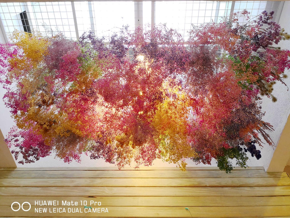 【食。台北】虎噗食多 • HOPE STORE〜師大路寵物友善餐廳。巷弄裡老房子美式餐廳,現做美味平價享受!(已歇業)