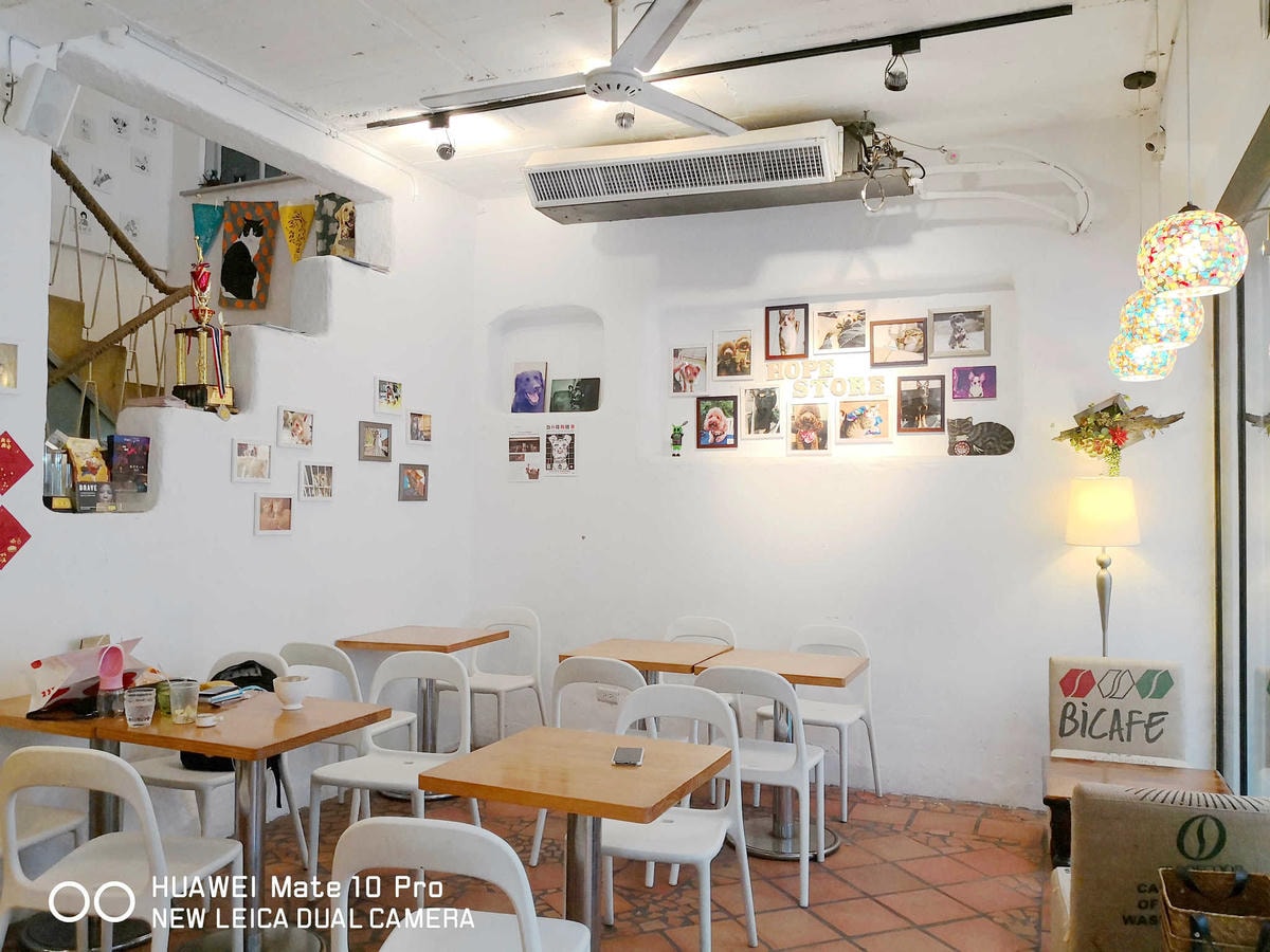 【食。台北】虎噗食多 • HOPE STORE〜師大路寵物友善餐廳。巷弄裡老房子美式餐廳,現做美味平價享受!(已歇業)