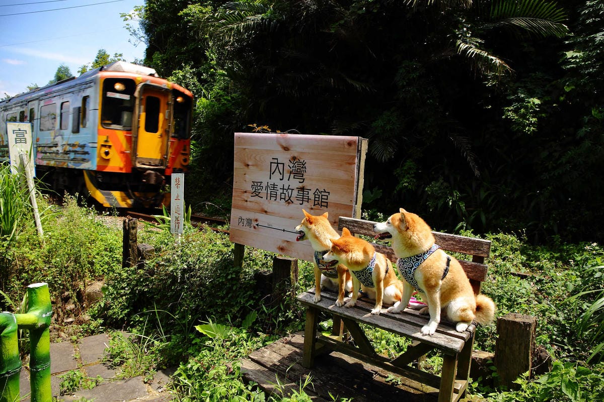 【遊。新竹】內灣愛情故事館 -景觀餐廳  DH婚紗拍攝基地〜就是要在婚紗基地拍出可愛風格！(已歇業)