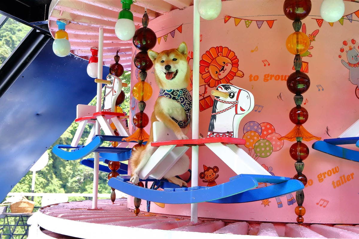 【遊。新竹】內灣愛情故事館 -景觀餐廳  DH婚紗拍攝基地〜就是要在婚紗基地拍出可愛風格！(已歇業)