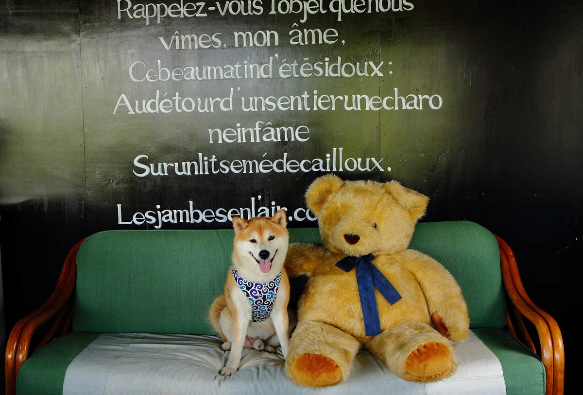 【遊。新竹】內灣愛情故事館 -景觀餐廳  DH婚紗拍攝基地〜就是要在婚紗基地拍出可愛風格！(已歇業)