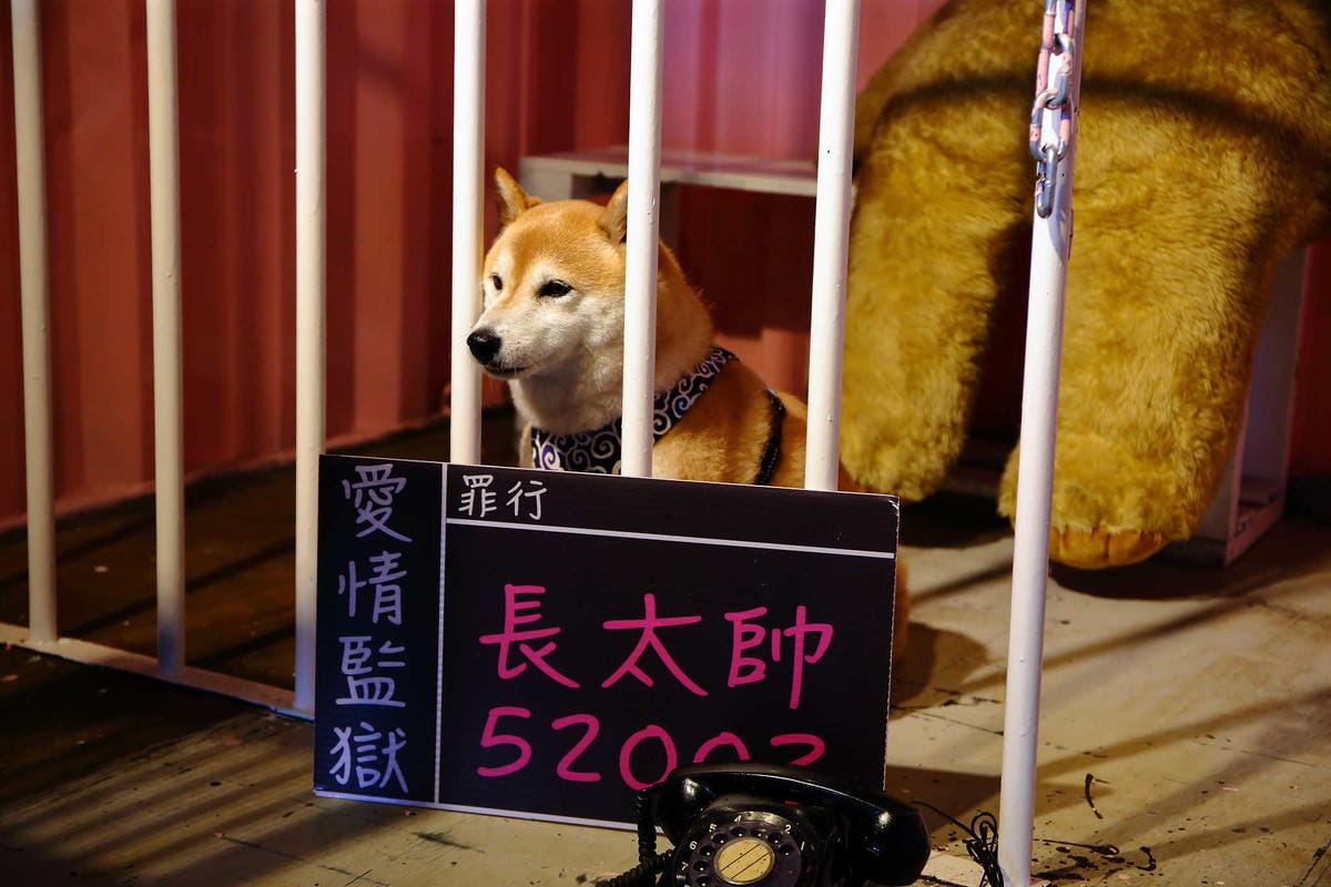 【遊。新竹】內灣愛情故事館 -景觀餐廳  DH婚紗拍攝基地〜就是要在婚紗基地拍出可愛風格！(已歇業)