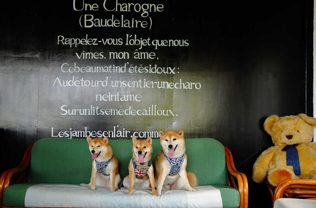 【遊。新竹】內灣愛情故事館 -景觀餐廳  DH婚紗拍攝基地〜就是要在婚紗基地拍出可愛風格！(已歇業)