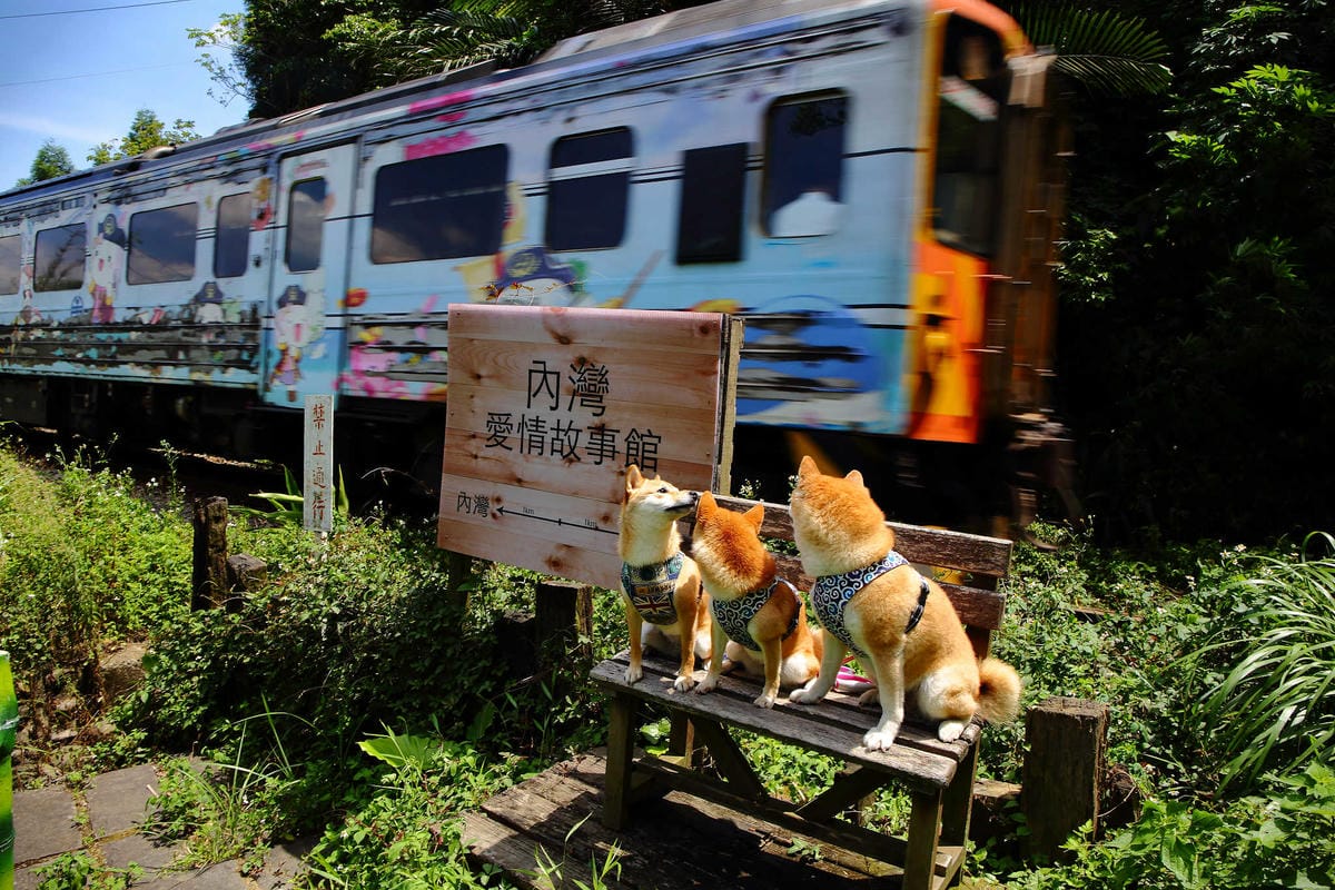 【遊。新竹】內灣愛情故事館 -景觀餐廳  DH婚紗拍攝基地〜就是要在婚紗基地拍出可愛風格！(已歇業)